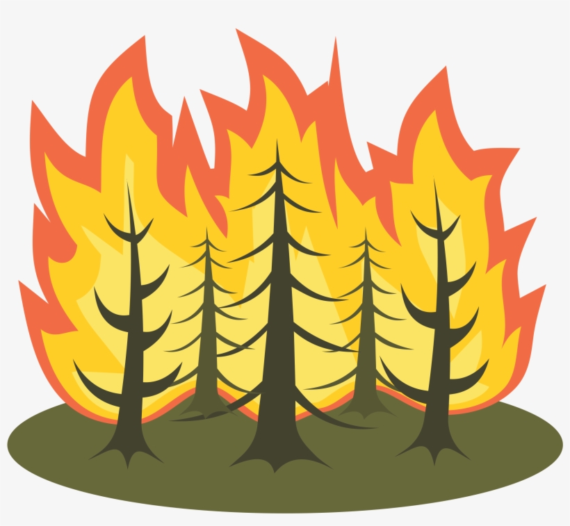 Wildfires Rage Across The U.S.