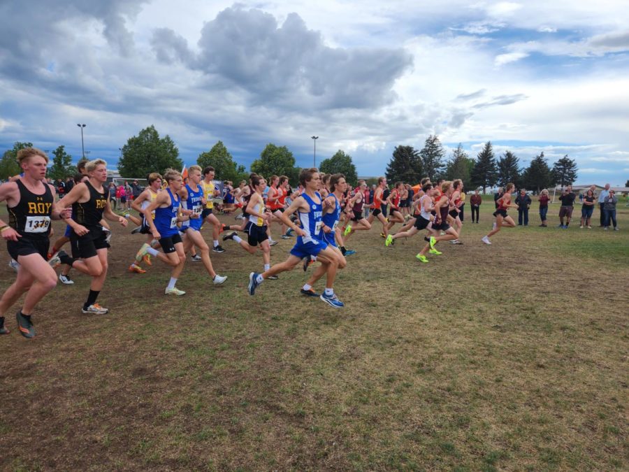 Cross country runs away with win after win