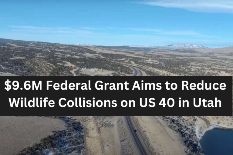 $9.6M Federal Grant Aims to Reduce Wildlife Collisions on US 40 in Utah