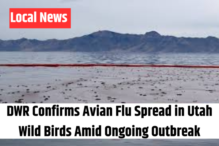 DWR Confirms Avian Flu Spread in Utah Wild Birds Amid Ongoing Outbreak