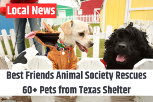 Best Friends Animal Society Rescues 60+ Pets from Texas Shelter