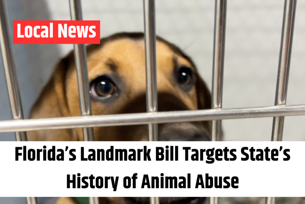 Florida’s Landmark Bill Targets State’s History of Animal Abuse