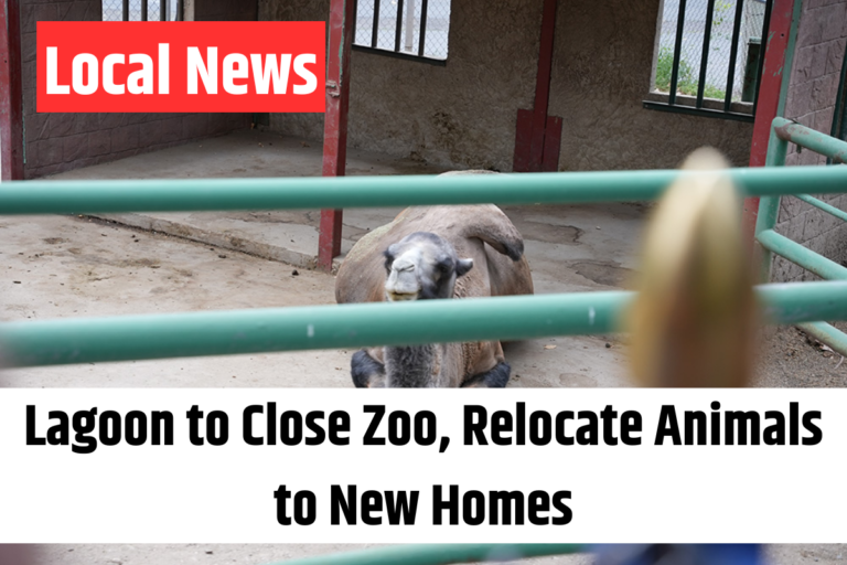 Lagoon to Close Zoo, Relocate Animals to New Homes