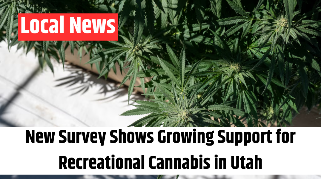 New Survey Shows Growing Support for Recreational Cannabis in Utah