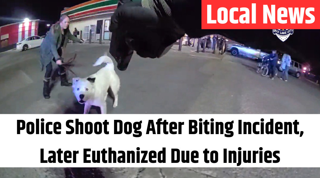 Police Shoot Dog After Biting Incident, Later Euthanized Due to Injuries