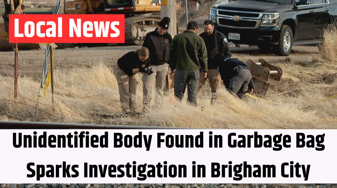 Unidentified Body Found in Garbage Bag Sparks Investigation in Brigham City
